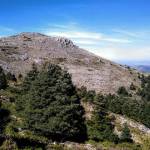 National Parks of Andalucia Discover the Natural Splendor