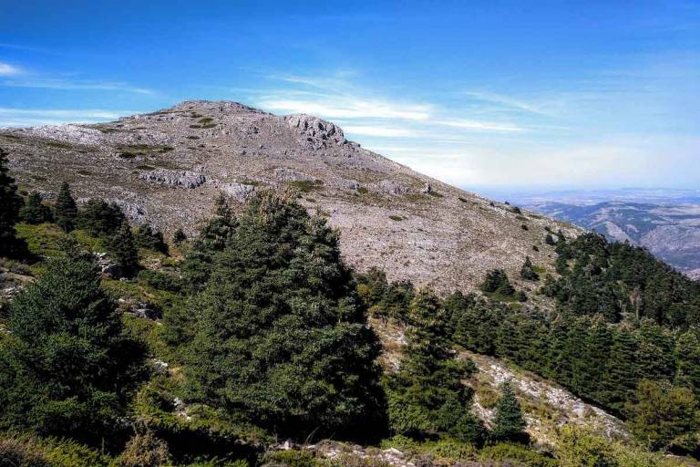 National Parks of Andalucia Discover the Natural Splendor