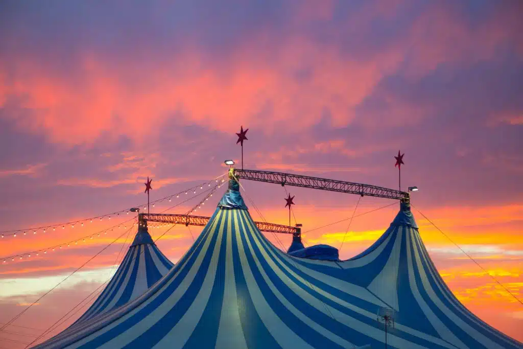 Things to Do in Benidorm: Experience Benidorm Circus