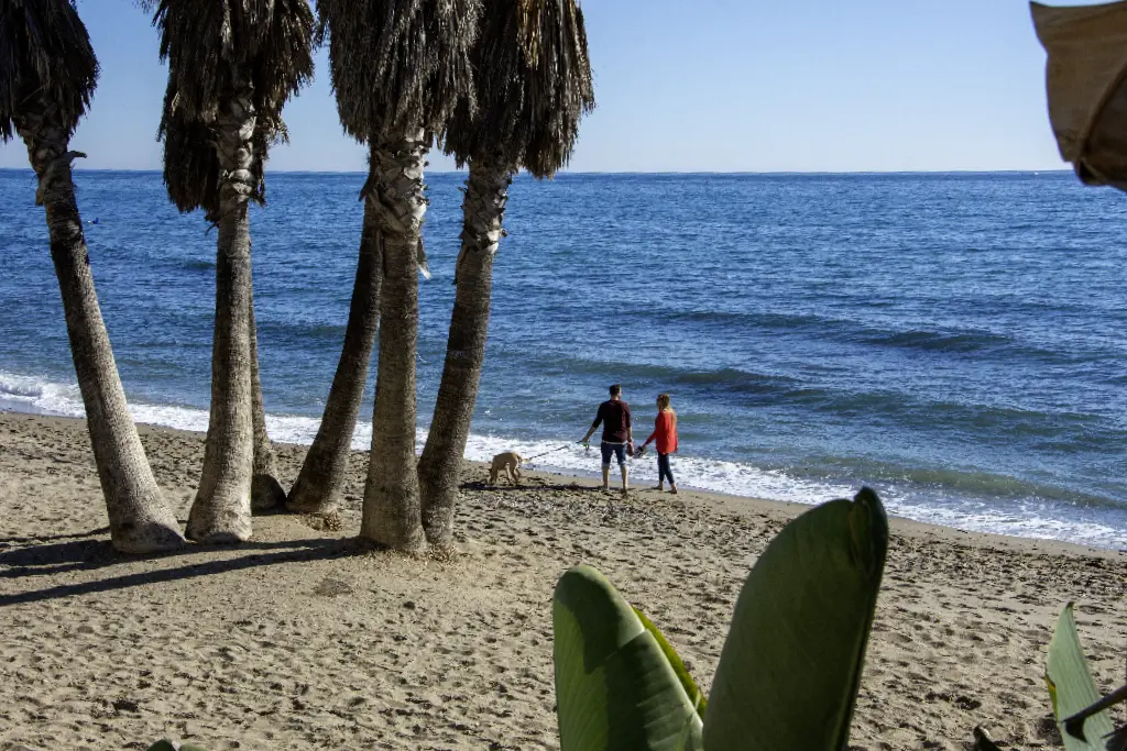 Choosing Your Haven: Where Can You Live in Marbella?
